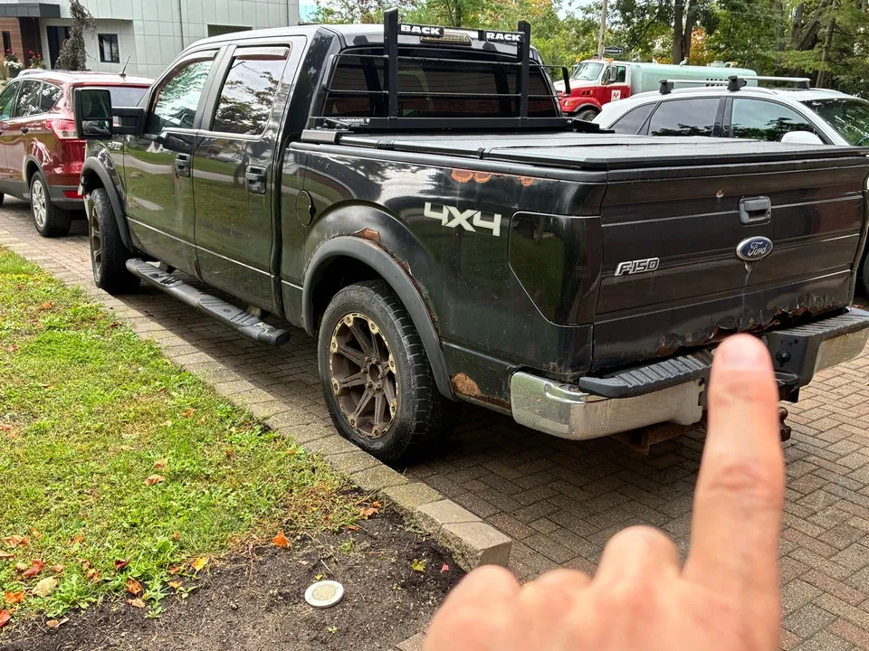 Ford F150 2010 photo 3