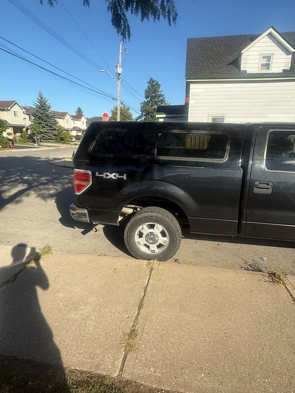 Ford F-150 2014 photo 4