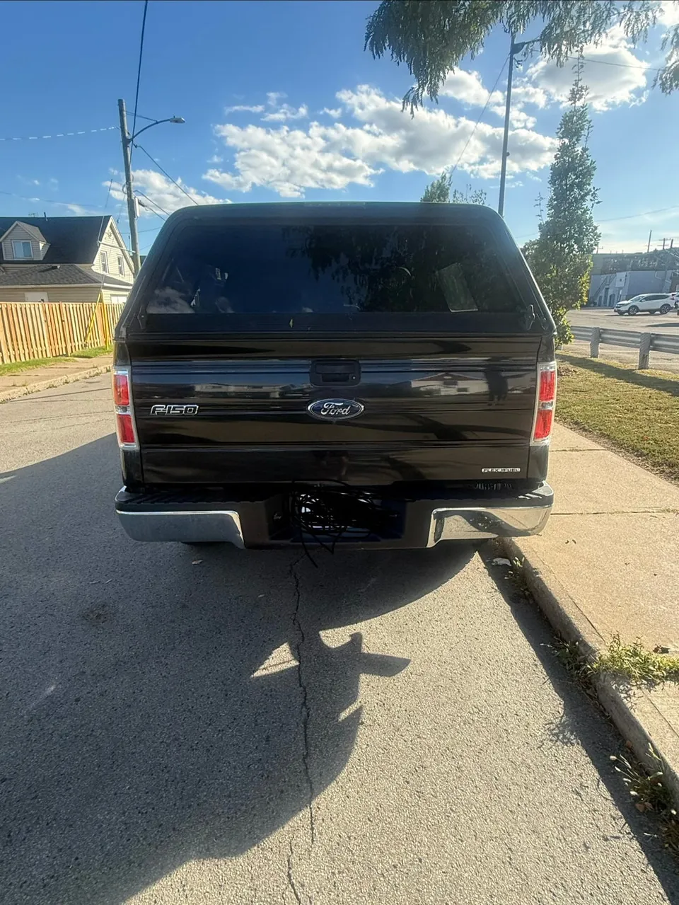 Ford F-150 2014 photo 3