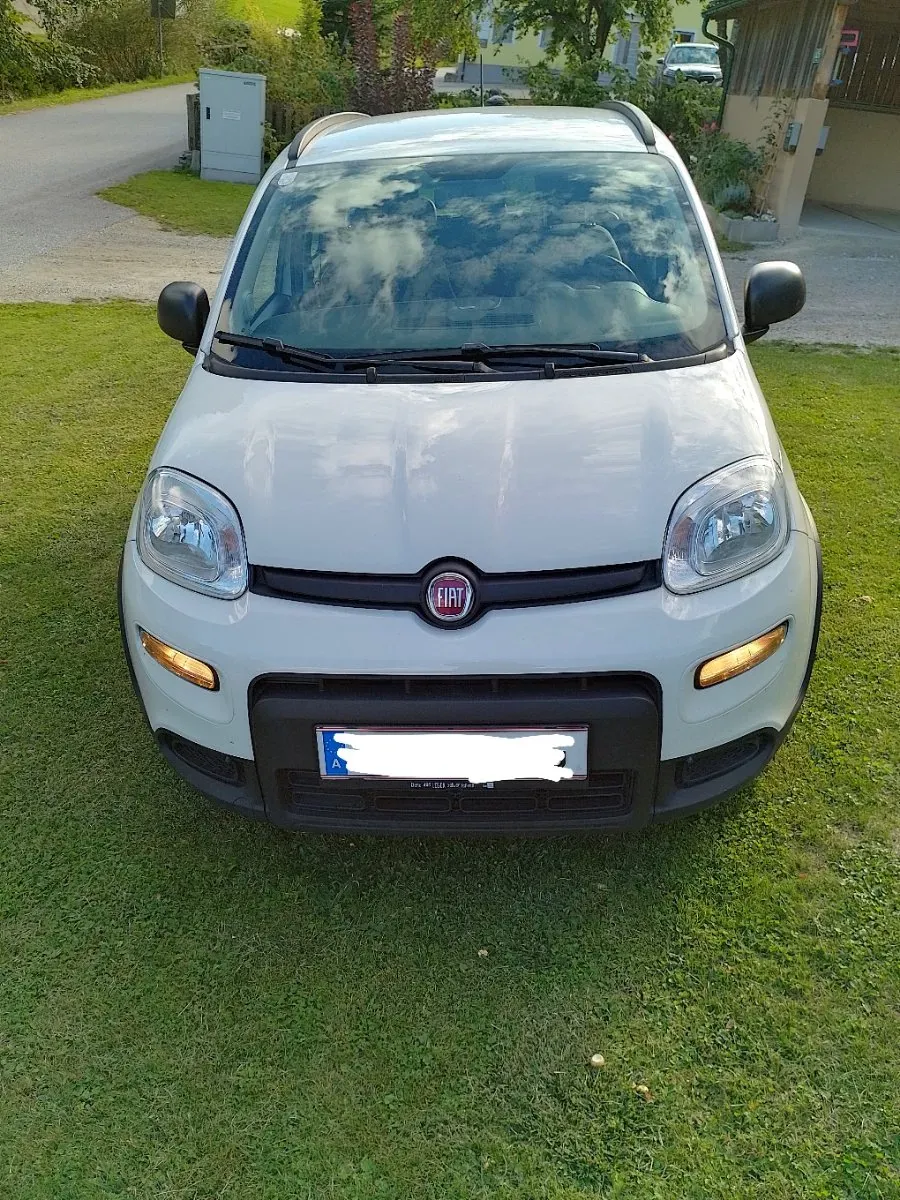 Fiat Panda 2021 photo 2