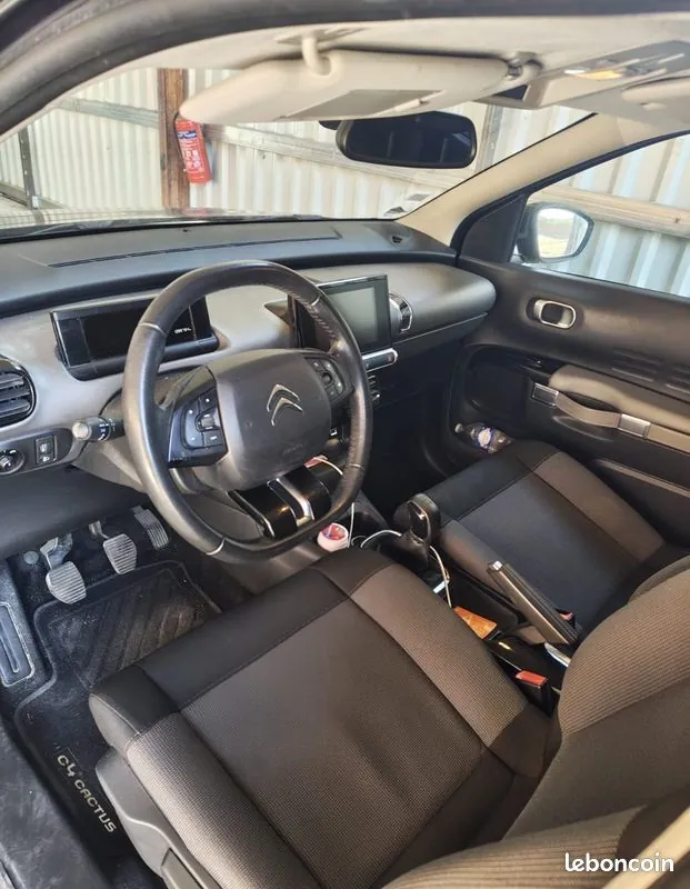 Citroen C4 Cactus 2019 photo 3