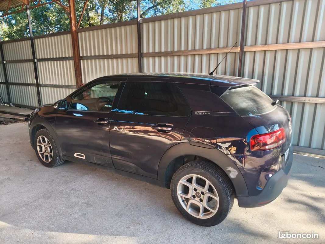 Citroen C4 Cactus 2019 photo 2