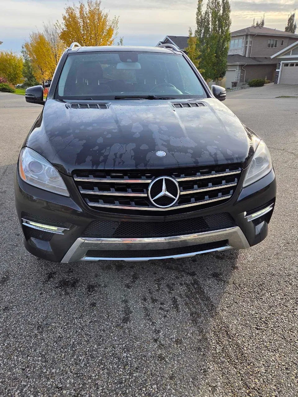 Mercedes-Benz Ml Class 2012 photo 5