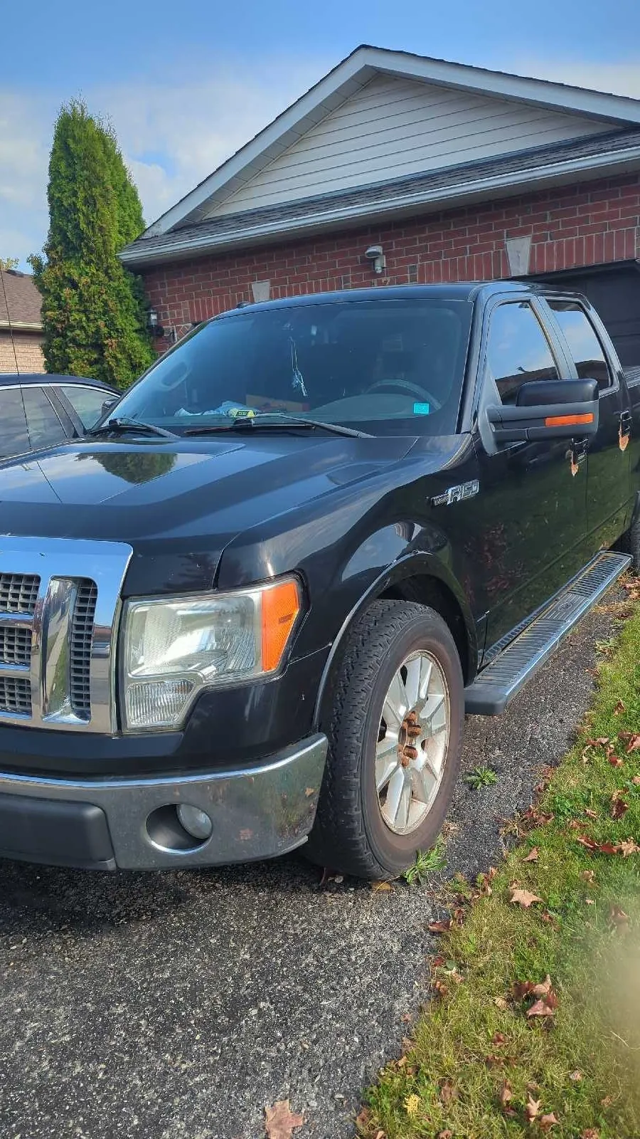 Ford F-150 2009 photo 2