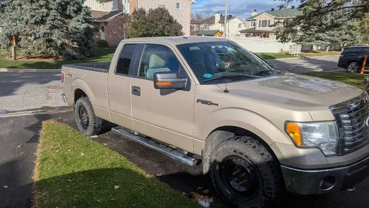 Ford F-150 2010 photo 3