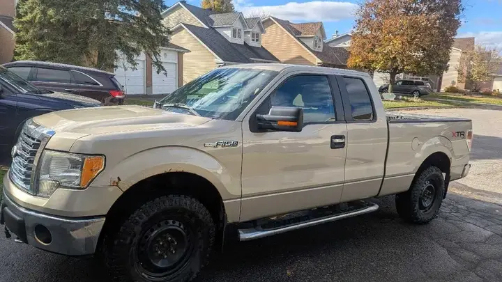 Ford F-150 2010 photo 2