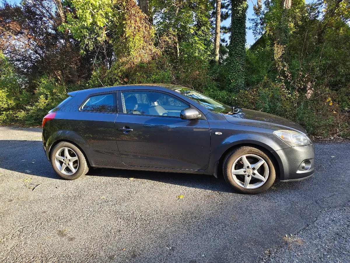 Kia Proceed 2010 photo 2