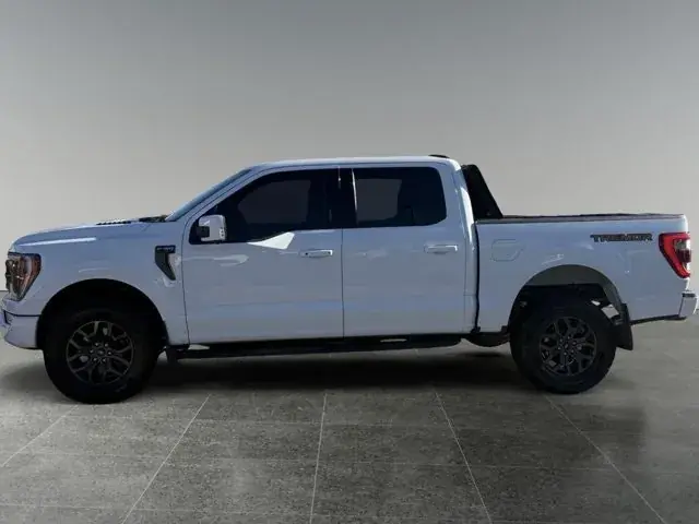 Ford F-150 Tremor 2021 photo 2