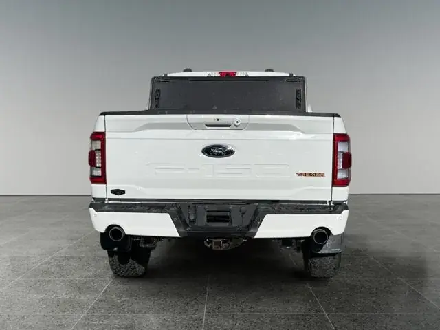Ford F-150 Tremor 2021 photo 5