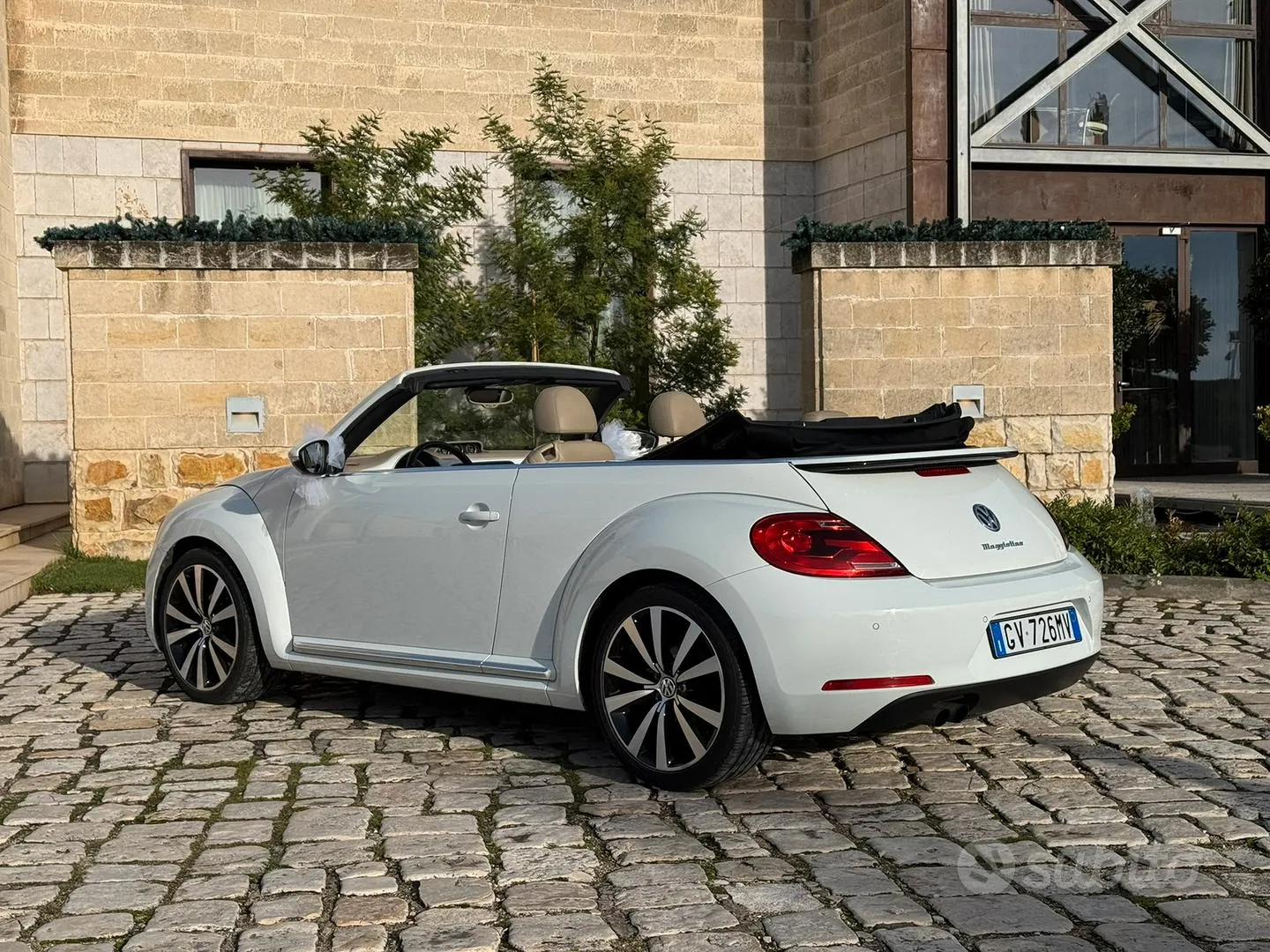 Volkswagen Maggiolino 2024 photo 3