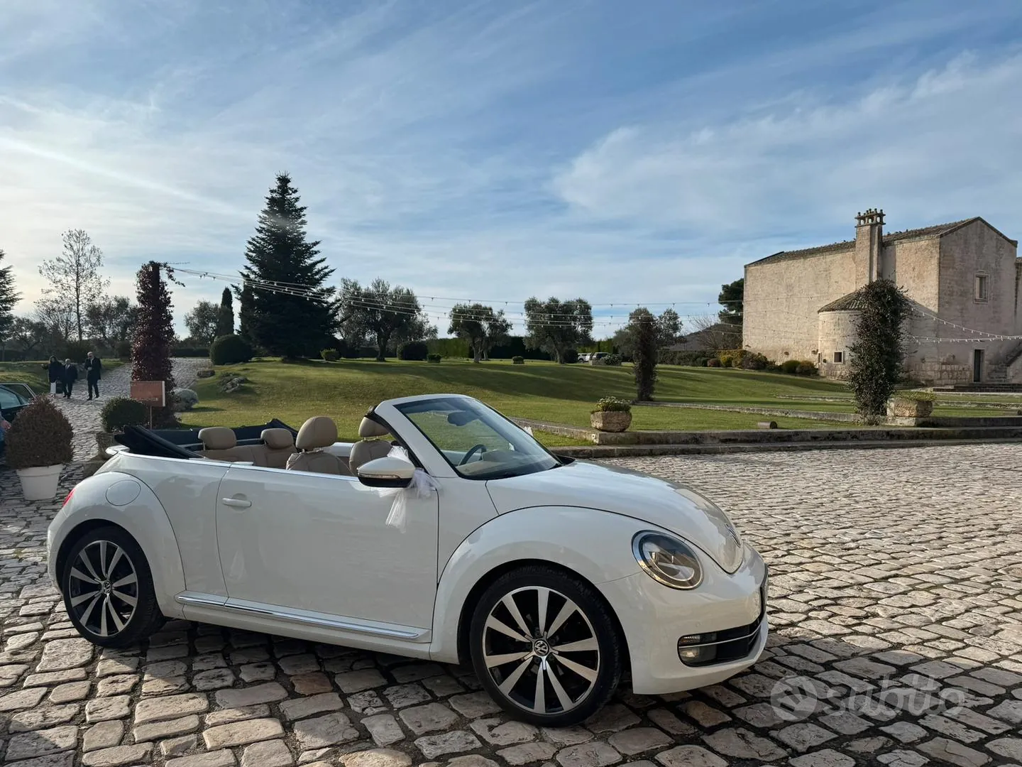 Volkswagen Maggiolino 2024 photo 4
