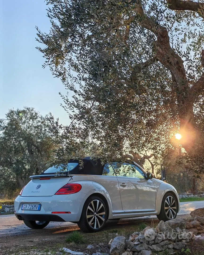 Volkswagen Maggiolino 2024 photo 2