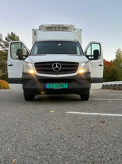 Mercedes-Benz Sprinter 316 2017 photo 2