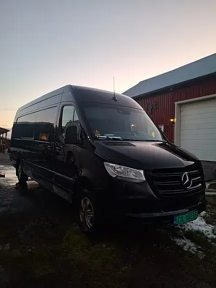Mercedes-Benz Sprinter 319 2021 photo 3