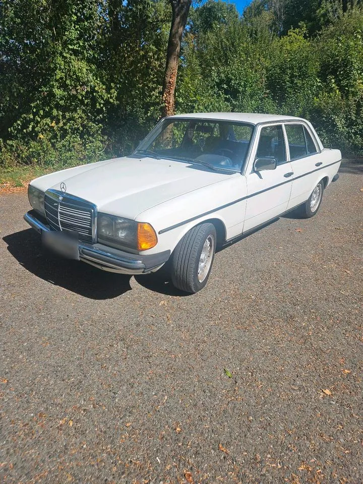 Mercedes-Benz W123