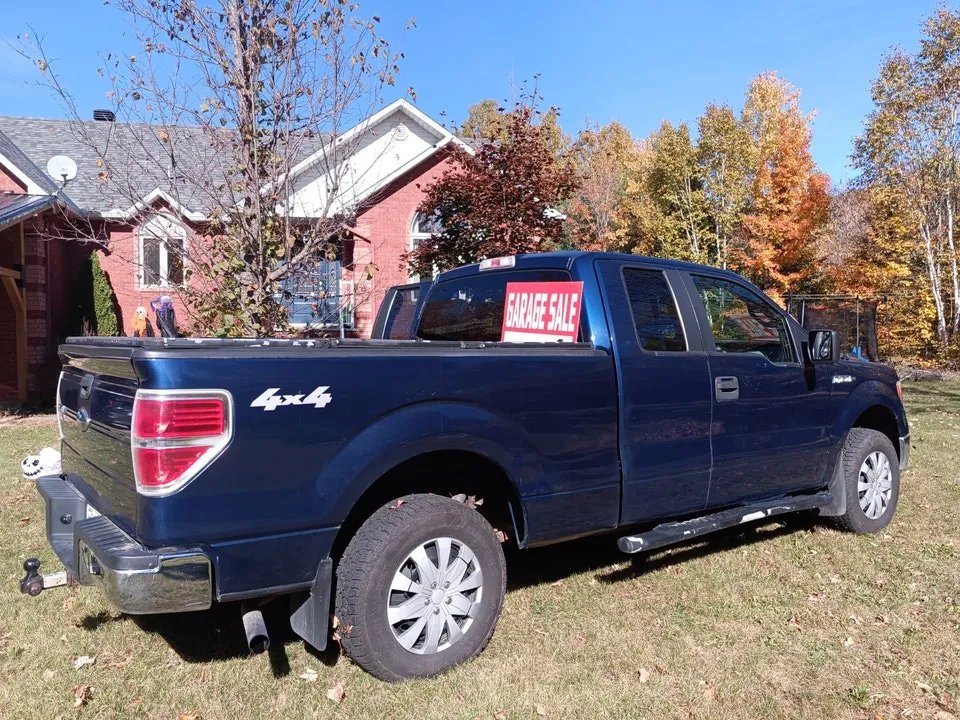 Ford F-150 2010 photo 2