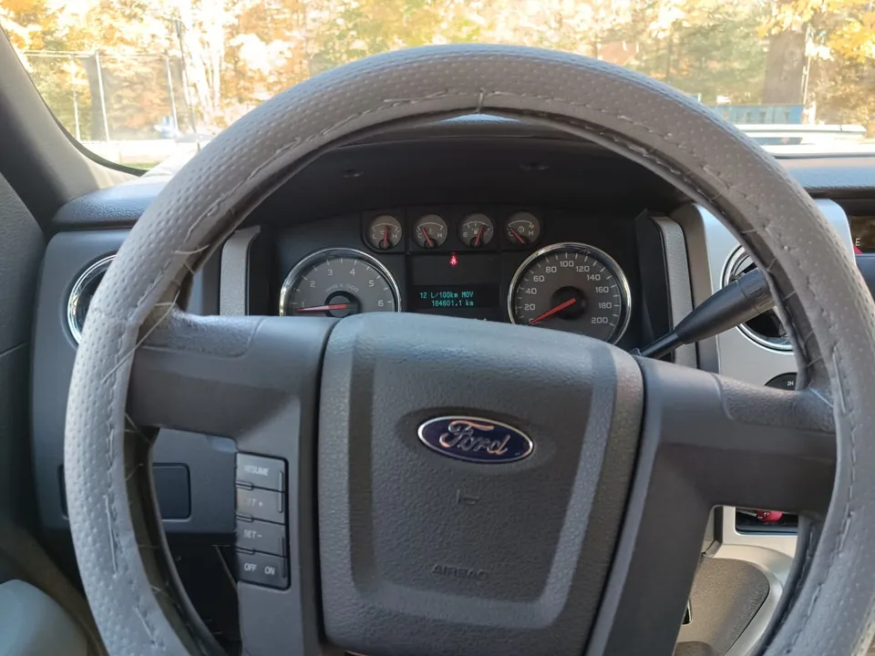 Ford F-150 2010 photo 3