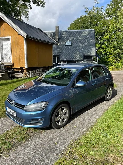 Volkswagen Golf Vii 2013 photo 3
