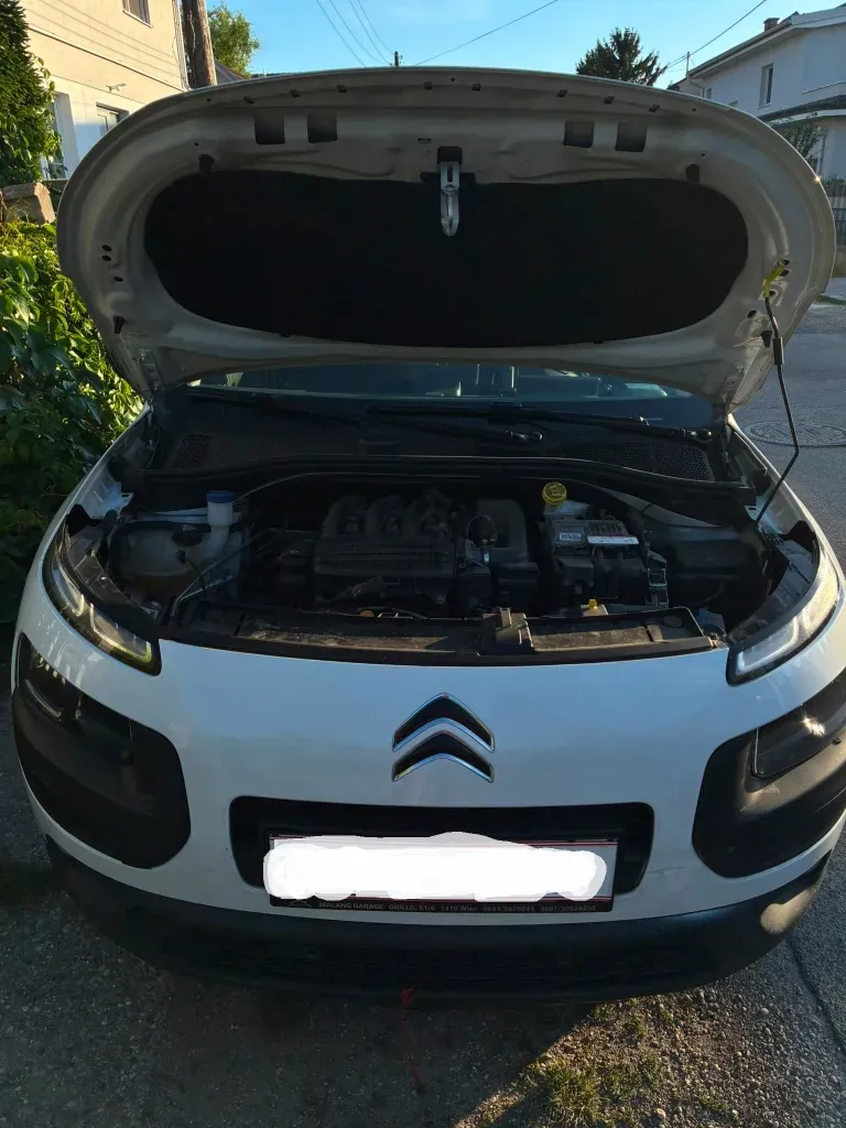 Citroen C4 Cactus 2014 photo 3