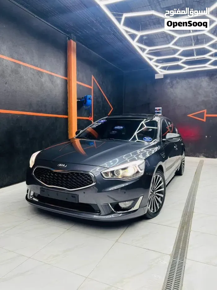 Kia Cadenza 2014 photo 2