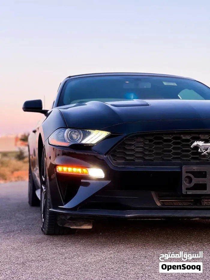 Ford Mustang 2021 photo 4