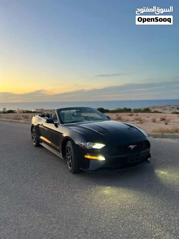 Ford Mustang 2021 photo 2