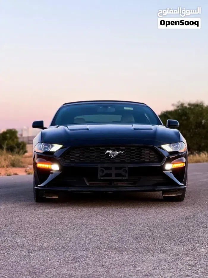 Ford Mustang 2021 photo 3