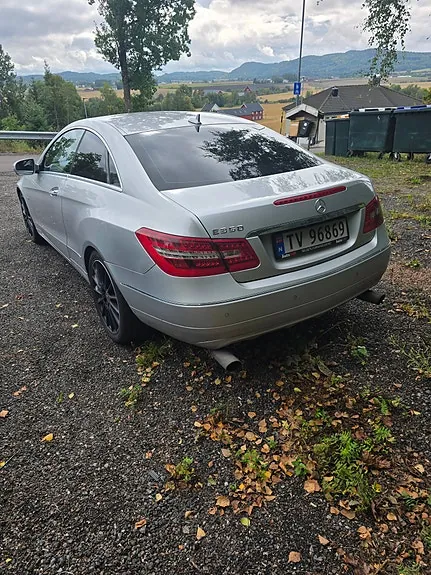 Mercedes-Benz E350 D 2009 photo 3