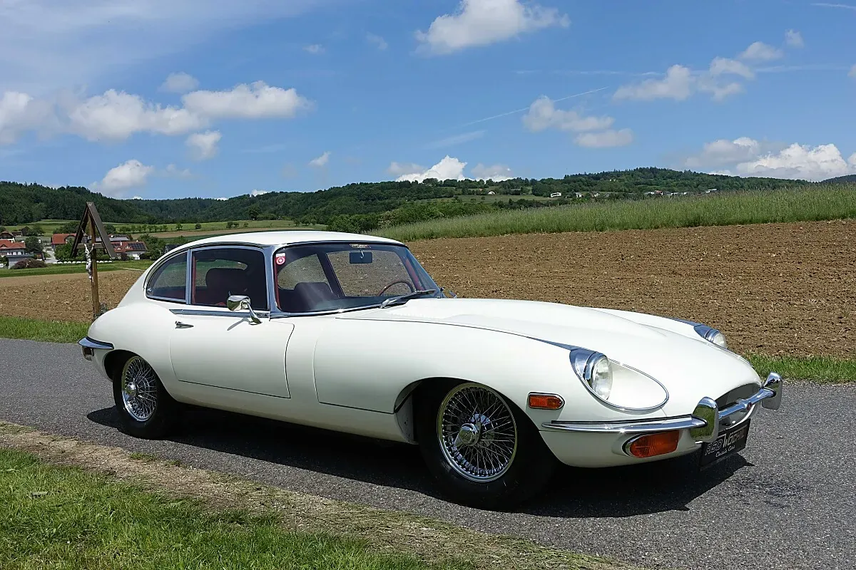 Jaguar Sonstige
