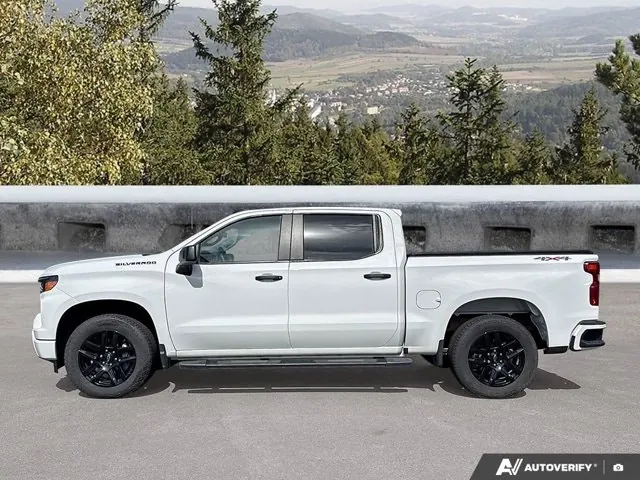 Chevrolet Silverado 1500 2023 photo 2