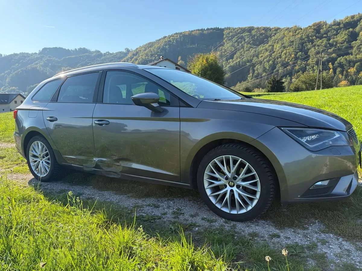 Seat Leon 2014 photo 2