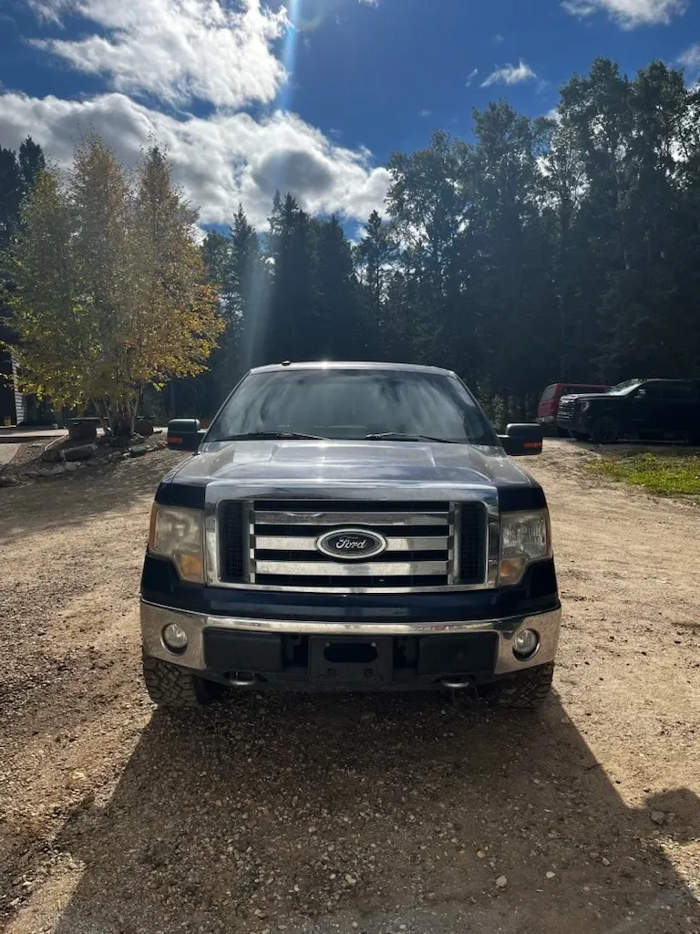 Ford F-150 2009 photo 4