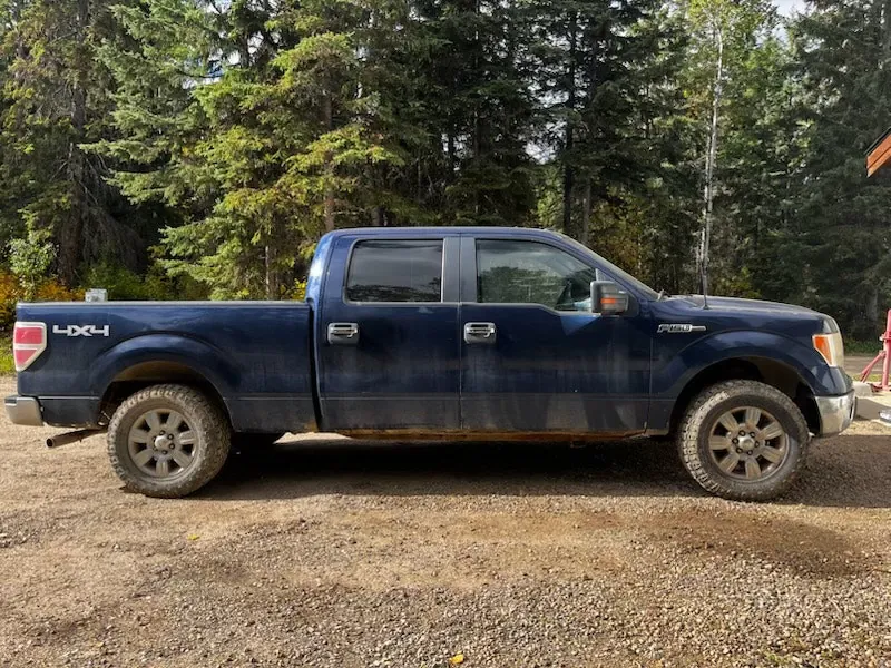 Ford F-150 2009 photo 3