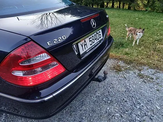 Mercedes-Benz E 220 D 2006 photo 5
