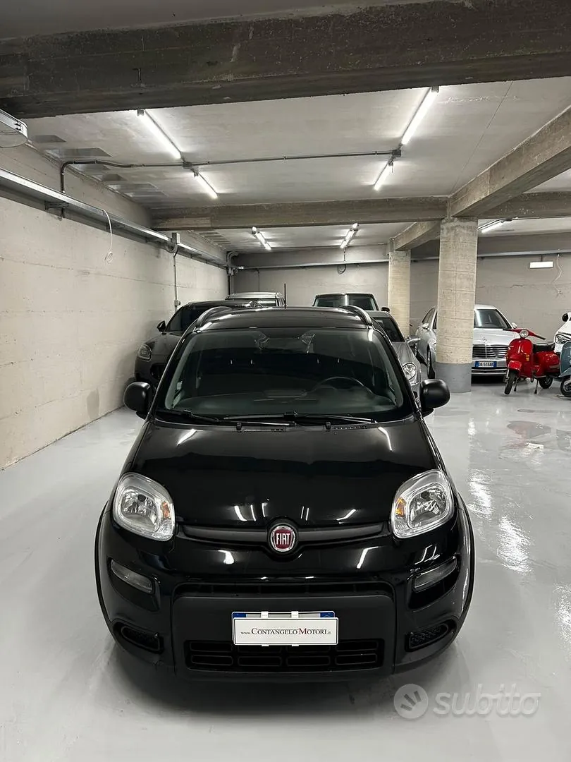 Fiat Panda 2024 photo 2