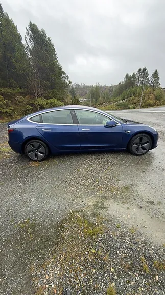 Tesla Model 3 2019 photo 3