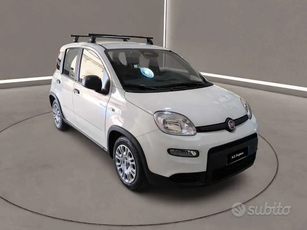 Fiat Panda 2024 photo 2