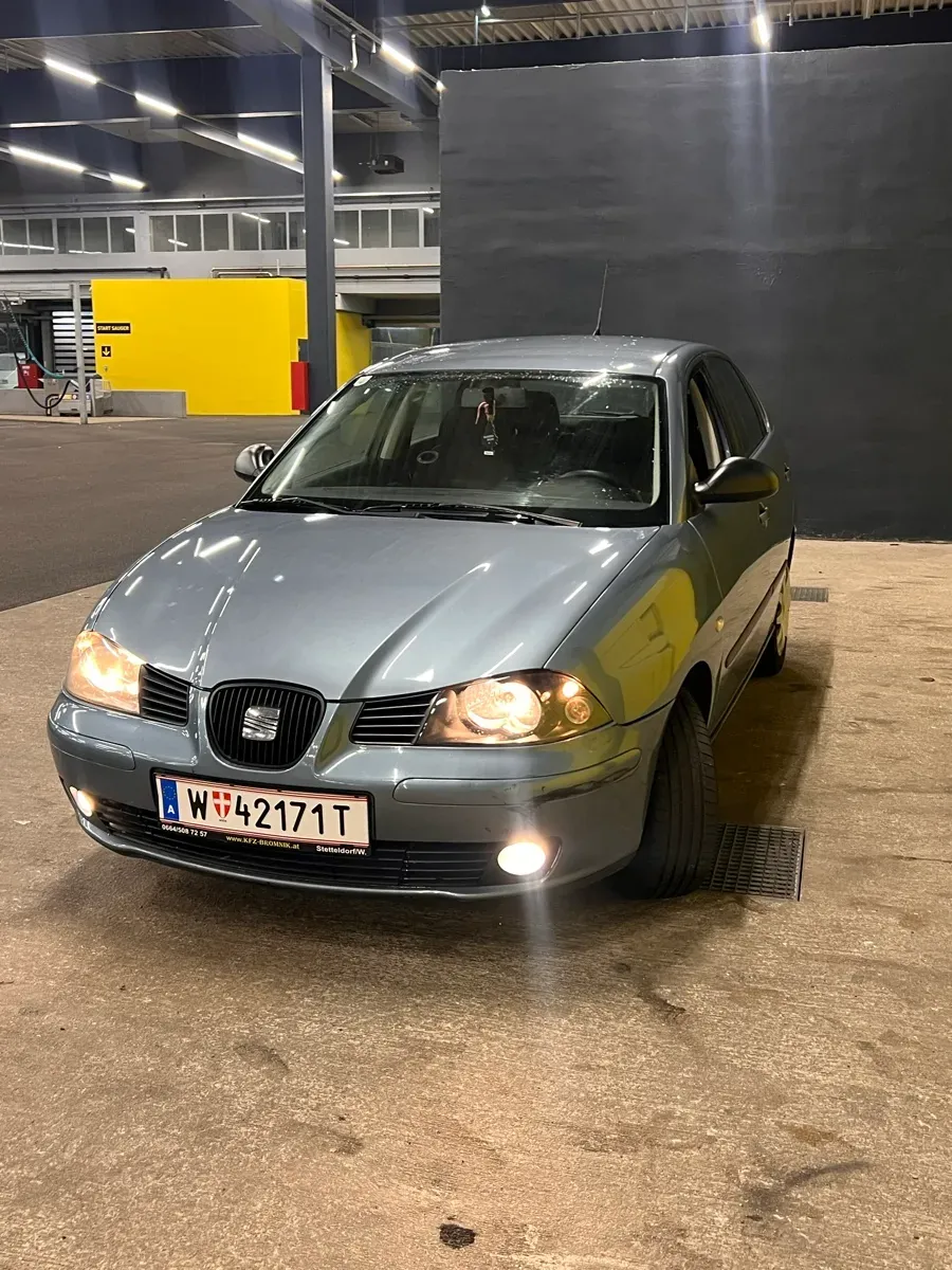 Seat Ibiza 2006 photo 2