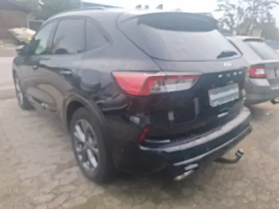 Ford Kuga 2020 photo 4