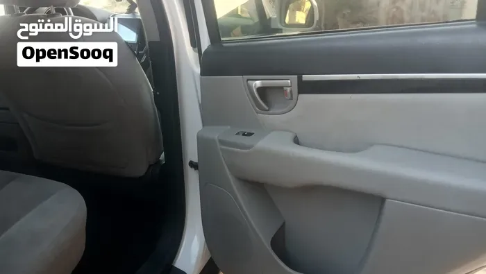 Hyundai Santa Fe 2009 photo 4