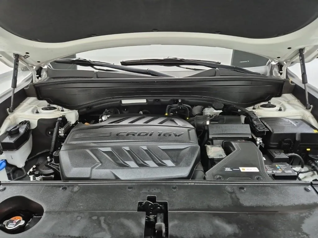 Hyundai Palisade 2024 photo 5
