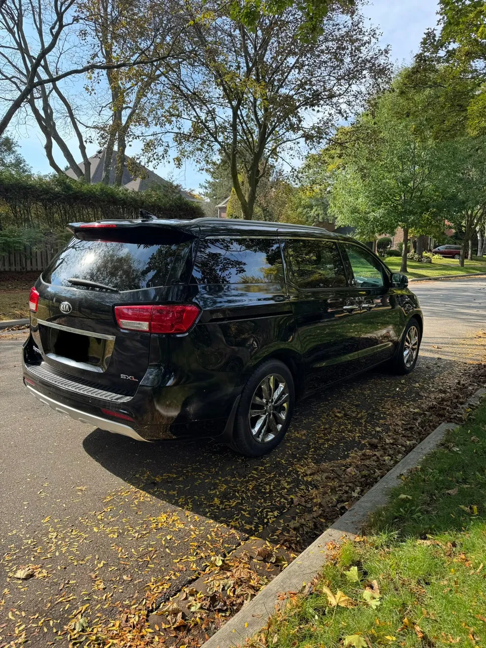 Kia Sedona 2017 photo 5