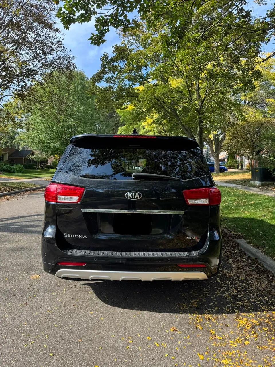 Kia Sedona 2017 photo 4