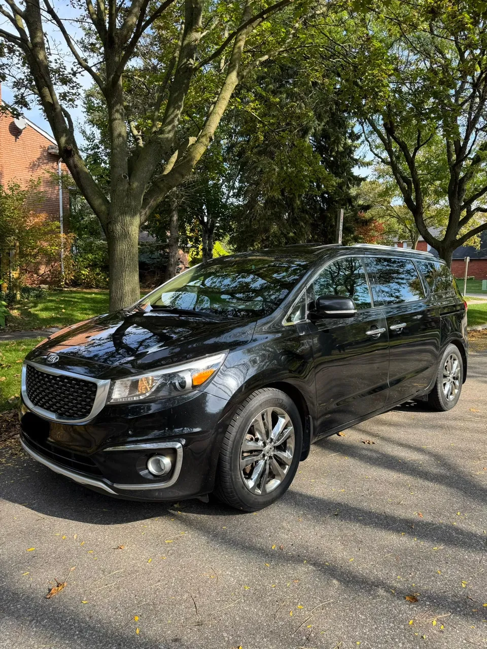 Kia Sedona 2017 photo 2