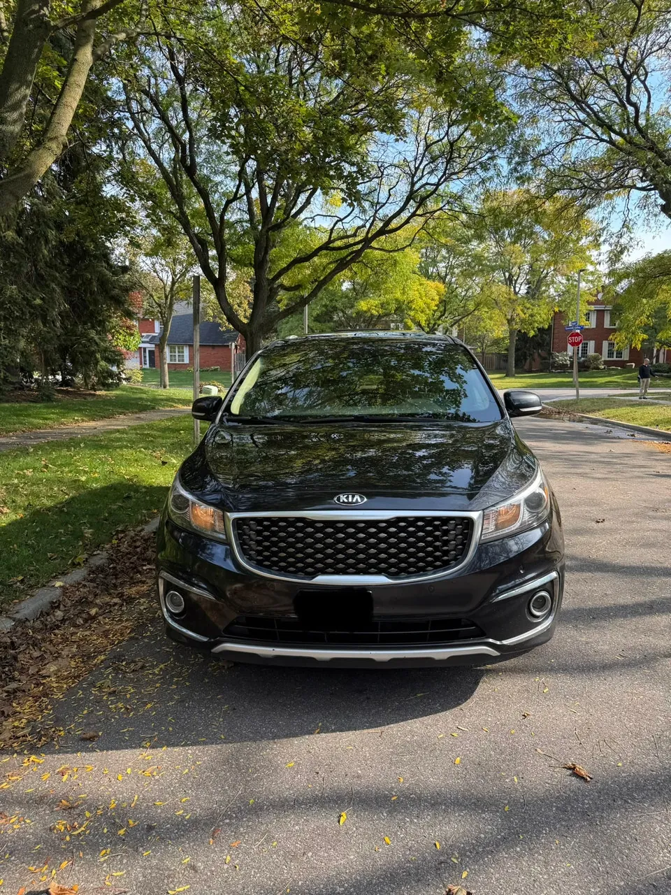 Kia Sedona 2017 photo 3