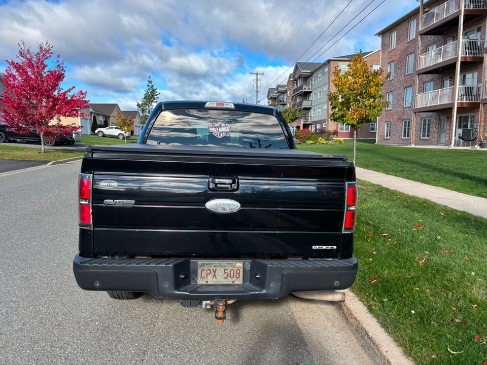 Ford F-150 2011 photo 3