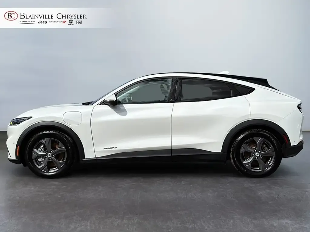 Ford Mustang Mach-E 2022 photo 3