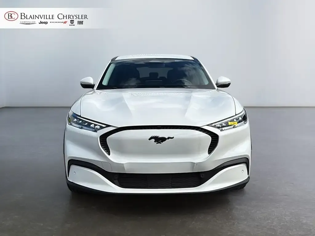 Ford Mustang Mach-E 2022 photo 2