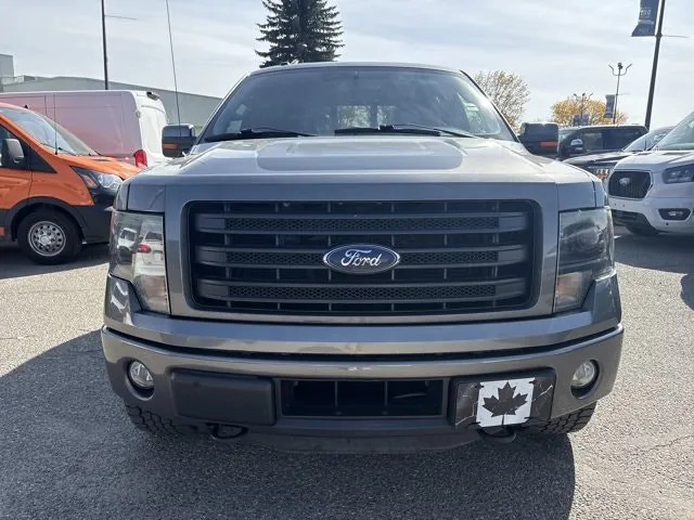 Ford F-150 2014 photo 4