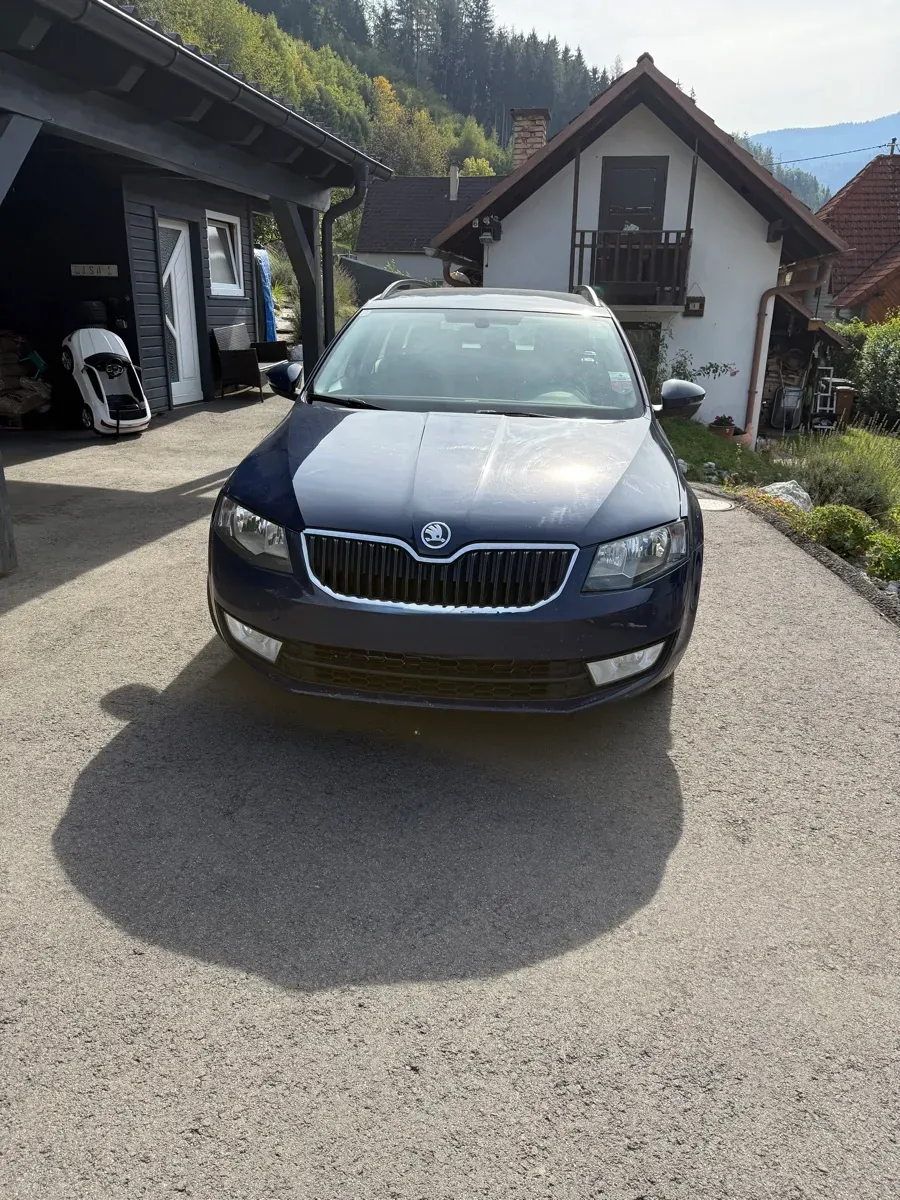 Skoda Octavia 2013 photo 2